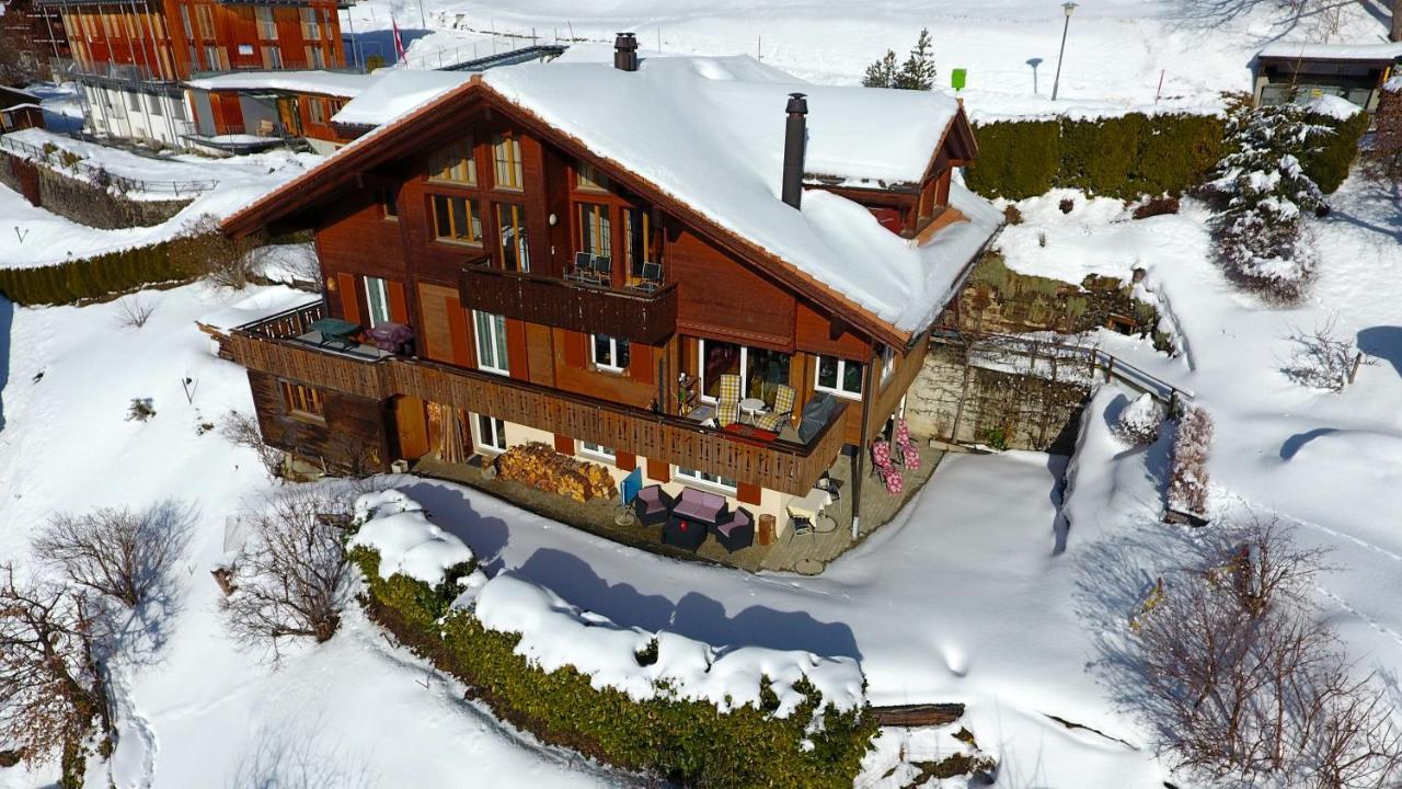 Chalet Protea Βένγκεν Εξωτερικό φωτογραφία
