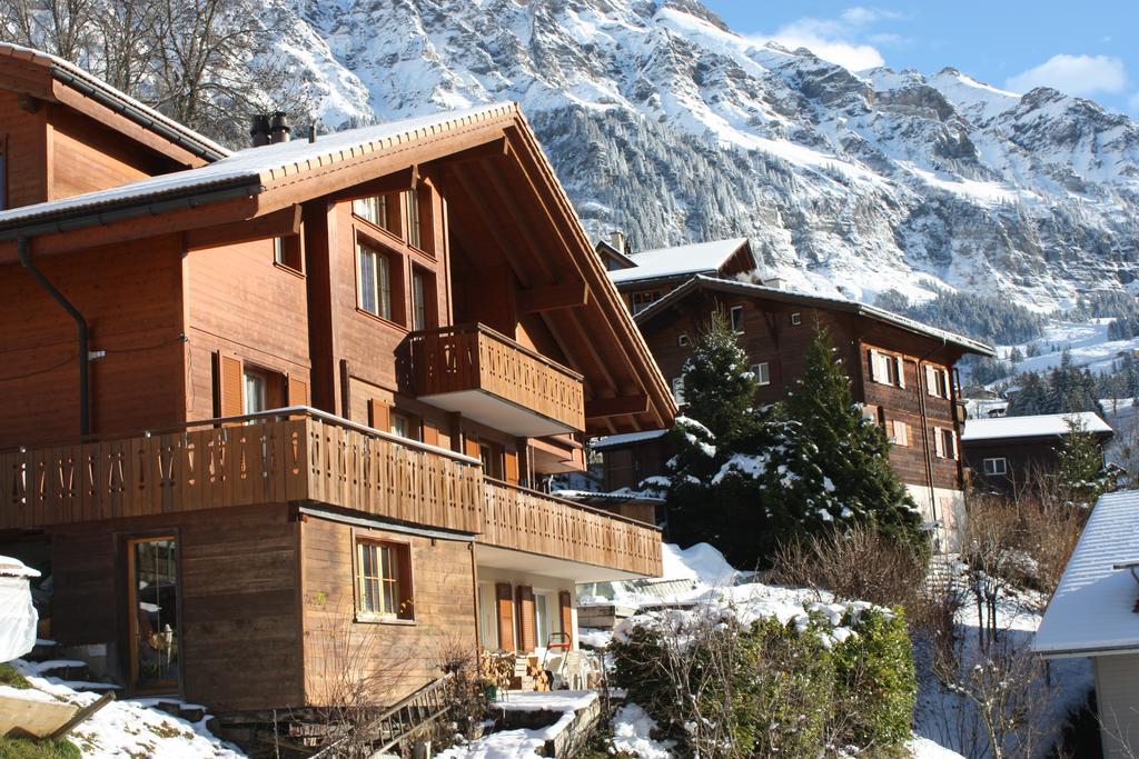 Chalet Protea Βένγκεν Εξωτερικό φωτογραφία