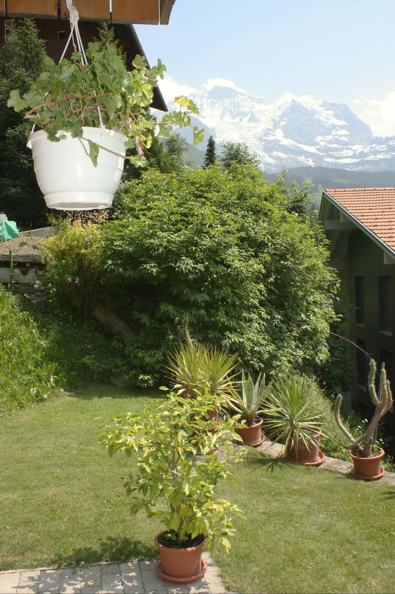 Chalet Protea Βένγκεν Εξωτερικό φωτογραφία